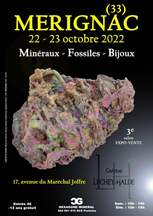 3e SALON MINERAUX FOSSILES BIJOUX De MERIGNAC Gironde Enfant