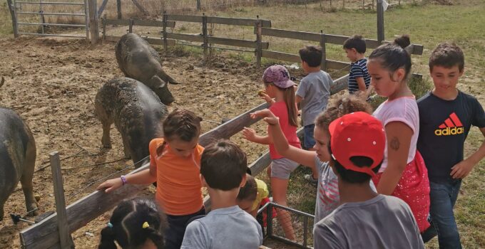 stages vacances enfants bordeaux