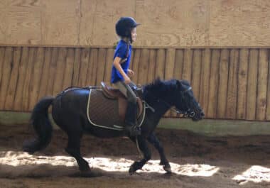 stages-vacances-enfants-equitation-bordeaux