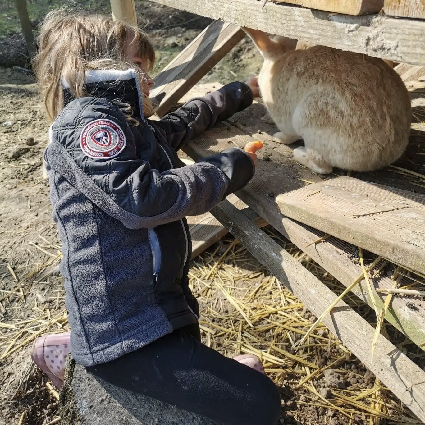 activites bordeaux gironde enfants sorties famille.jpg