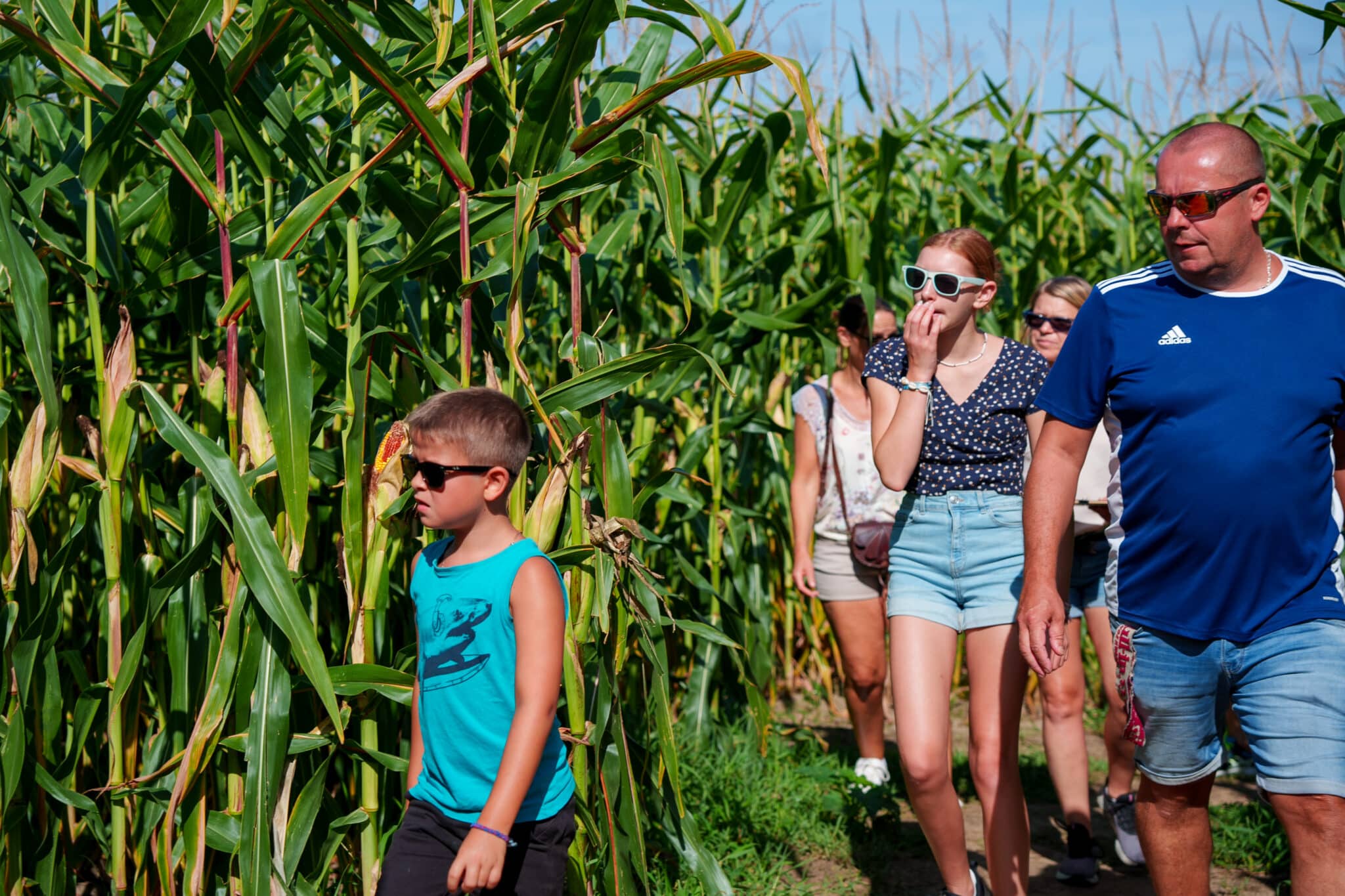 pop-corn-labyrinthe-bordeaux-reduction